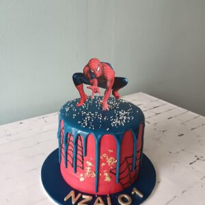 Drip Cake 7